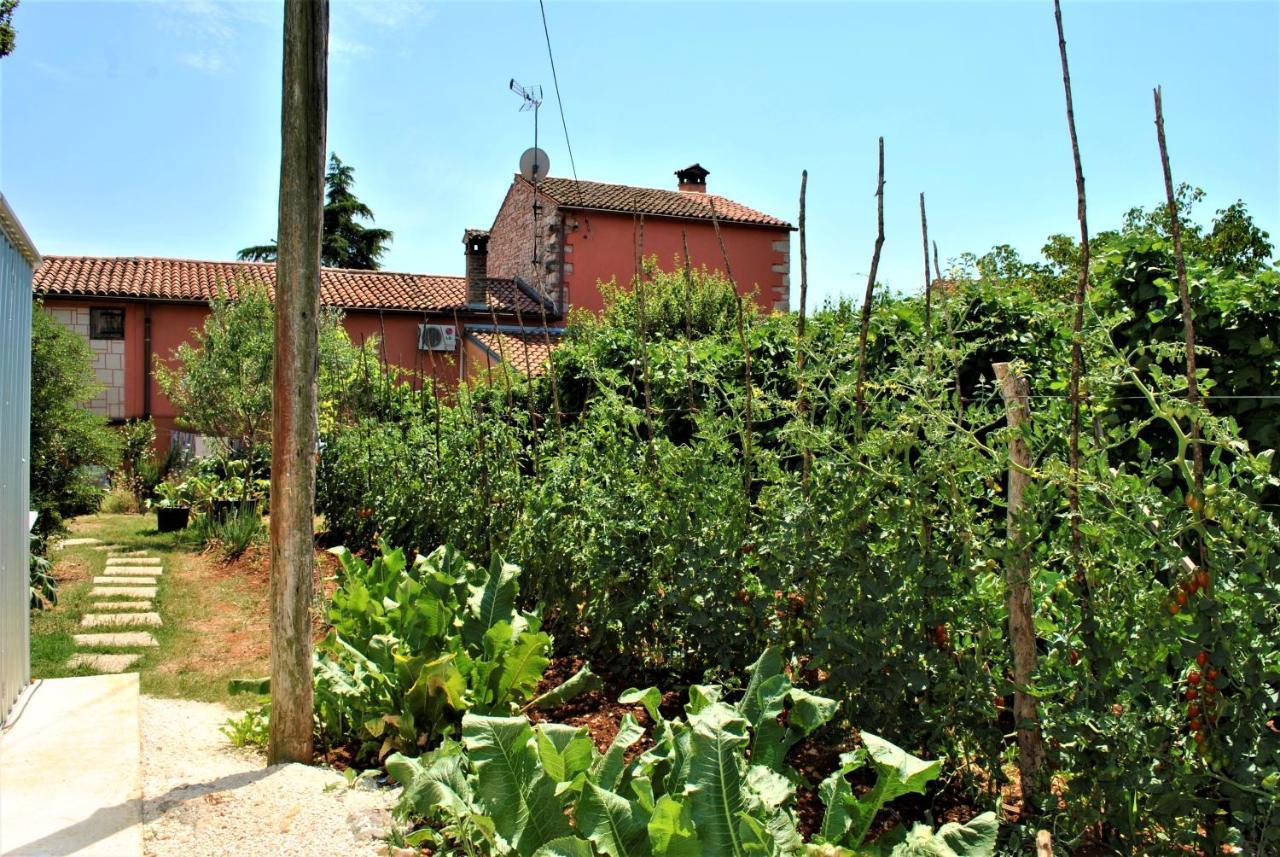 Apartment Pino Bale Bagian luar foto